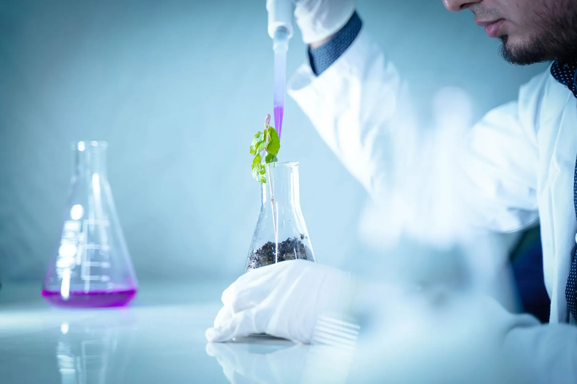 花恬姬植物提取物在护肤品中的应用特性与配伍方案解析正文配图 1