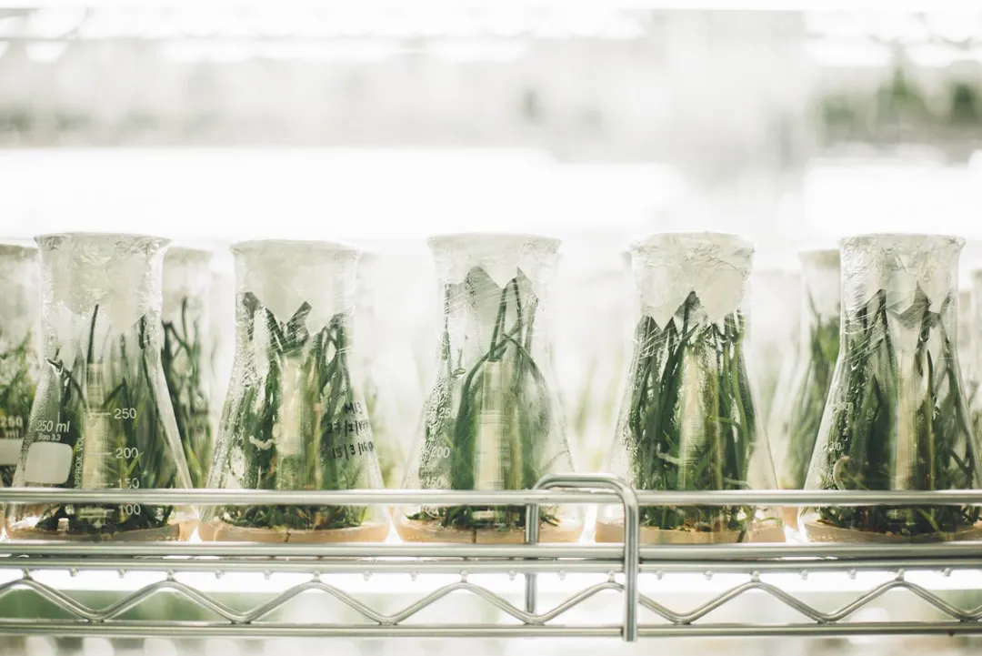 化妆品植物提取物原料的质量管控要点与检测标准解析正文配图 1
