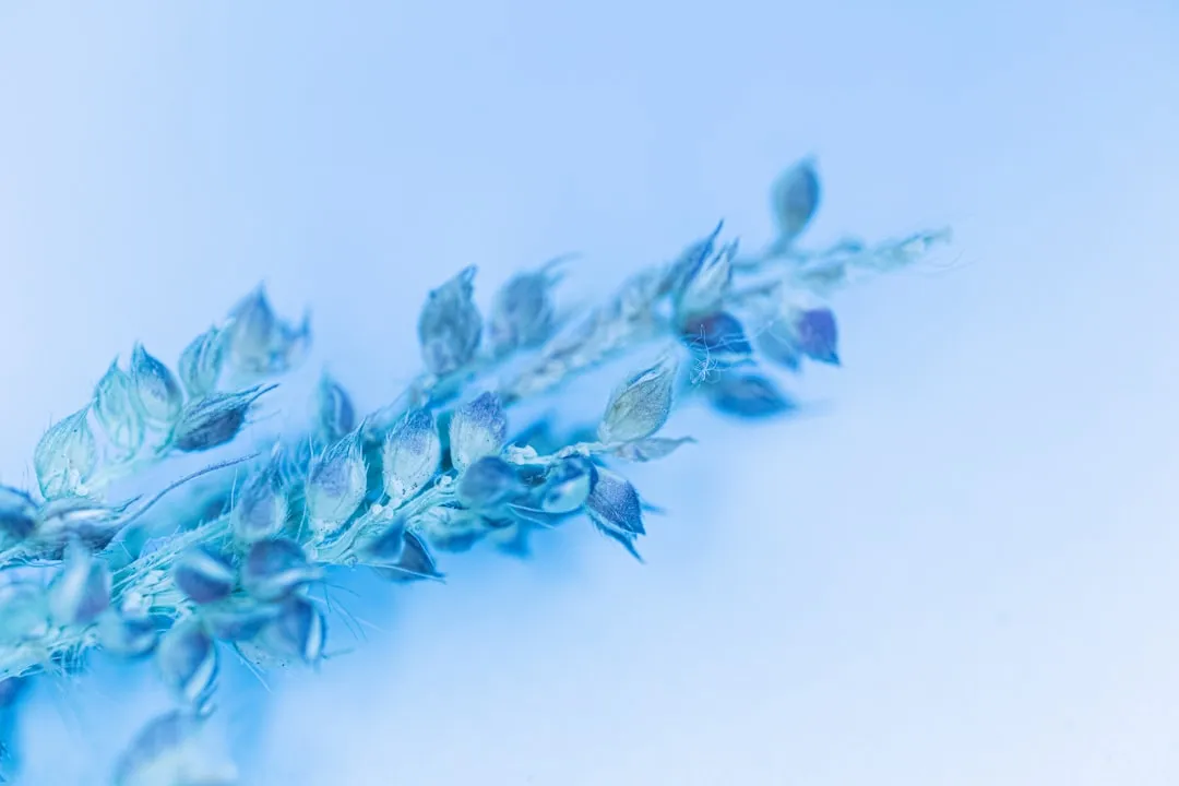 化妆品植物提取物原料在护肤品配方中的稳定性解决方案正文配图 1