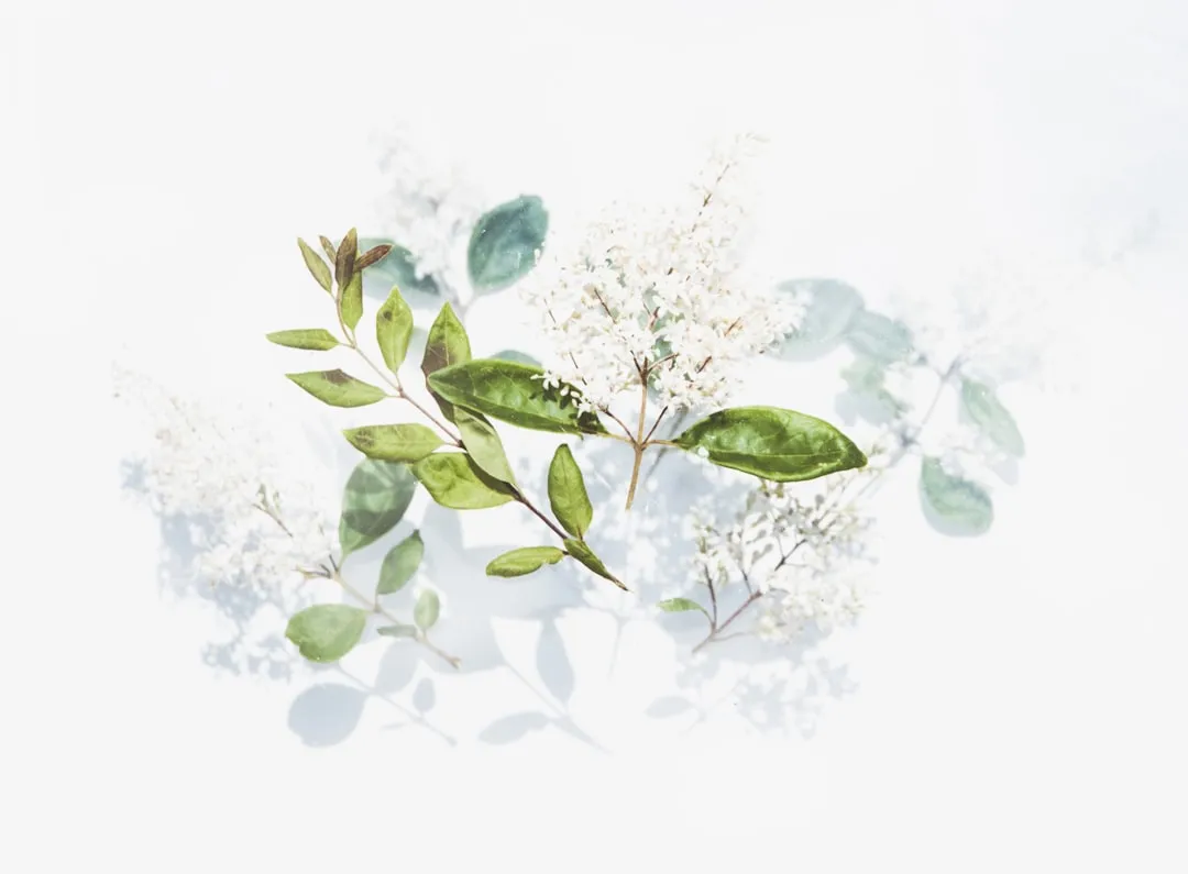花恬姬天然植物提取物与合成原料的性能对比分析正文配图 2